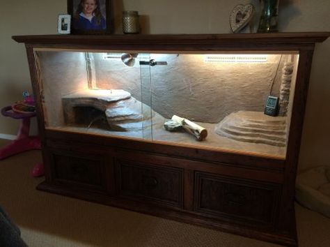 Custom Bearded Dragon Enclosure From a Dresser                                                                                                                                                                                 More Diy Bearded Dragon Cage, Diy Bearded Dragon Enclosure, Bearded Dragon Terrarium Ideas, Bearded Dragon Diy, Bearded Dragon Enclosure, Bearded Dragon Terrarium, Bearded Dragon Funny, Bearded Dragon Cage, Snake Enclosure