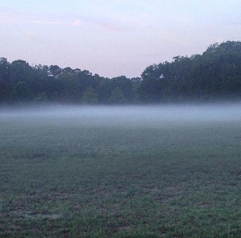 Foggy Grass Field, Foggy Field Aesthetic, Gloomy Countryside, Gloomy Field, Foggy Countryside, Foggy Meadow, Misty Field, Foggy Aesthetic, Foggy Field