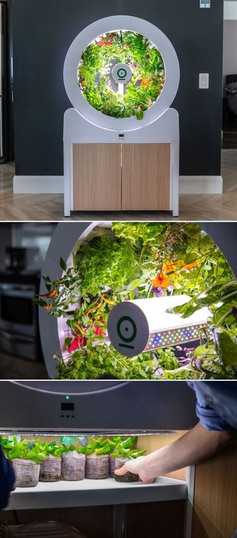 Hydroponics Diy Indoor, Growing Food Indoors, Garden Gadgets, Smart Farm, Indoor Farming, Vegetable Planters, Hydroponics Diy, Vertical Farming, Smart System