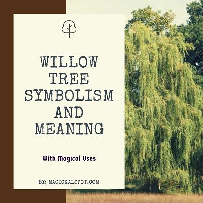 Tree Symbolism Meaning, Pocahontas Willow Tree, Weeping Willow Meaning, Willow Tree Hand Tattoo, Willow Tree Spiritual Meaning, Spiritual Meaning Of Trees, Weeping Willow Quotes, Weeping Willow Tree Meaning, Tiny Willow Tree Tattoo