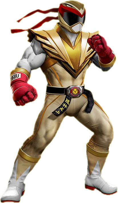 Ryu Ranger costume (Ryu) Ranger Costume, Street Fighter Iii, Power Rangers Cosplay, Power Rangers Spd, Ryu Street Fighter, Power Rangers Fan Art, Power Rangers Samurai, Mega Man Art, All Power Rangers