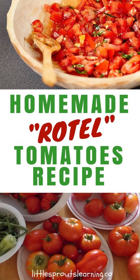 HOMEMADE ROTEL RECIPE: Rotel tomatoes are a spicy diced tomato product with green chilies for heat. It's a great flavor enhancer for dishes like queso, casseroles, and soups. You can make your own Rotel tomatoes recipe with your garden tomatoes this summer and fill your freezer full of flavor for the whole year. Tomatoes With Green Chilies Recipes, Tomatoes For Chili, Rotel Tomatoes Recipes Dinners, Rotel Tomatoes Recipes, Homemade Rotel Tomatoes, Housewife Skills, Rotel Recipe, Homemade Rotel, Recipes With Diced Tomatoes