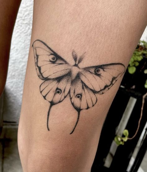 soft moth tattoo Lunar Moth Tattoo, Soft Tattoo, Moth Tattoo Design, Tattoo Shading, Small Butterfly Tattoo, Insect Tattoo, Handpoke Tattoo, Moth Tattoo, Cute Tattoos For Women