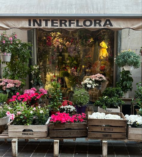 #fashion #aesthetic #florist #italian #italy Vintage Florist Aesthetic, Florist Aesthetic, Vintage Coffee Shops, Green Fig, Fig Tree, + Core + Aesthetic, Vintage Coffee, Fashion Aesthetic, Dream Job