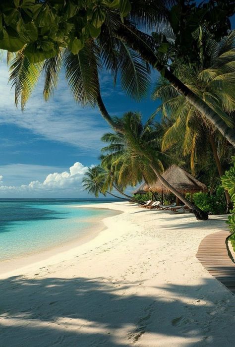 Caribbean Beach House, Tropical Images, Maldives Luxury Resorts, Maldives Luxury, Maldives Beach, Dream Landscape, Beautiful Leaves, What A Beautiful World, Caribbean Beach