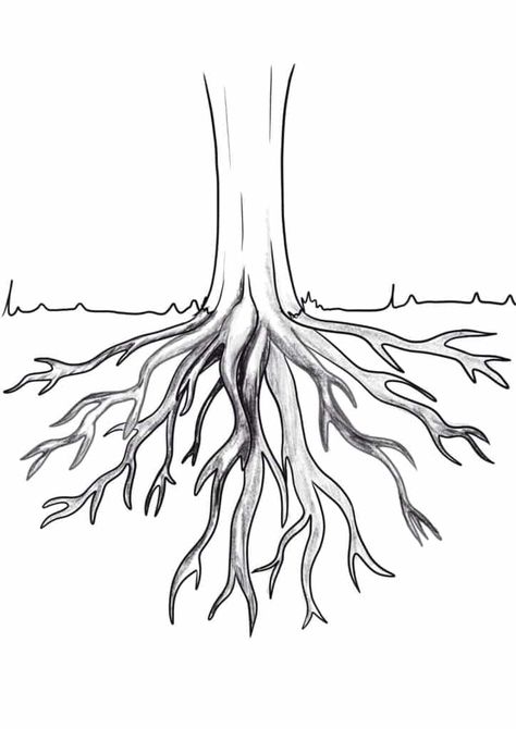 Tree With Roots Drawing, Roots Of A Tree, Easy Steps To Draw, Draw Tree, Roots Drawing, Steps To Draw, Drawing Tree, Tree Outline, Easy Drawing Steps