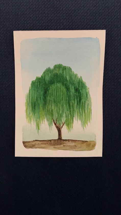 #Watercolor #willow #tree #Watercolorwillowtree Weeping Willow Painting Easy, Willow Tree Watercolor Painting, Willow Tree Painting Easy, Willow Tree Meaning, Watercolor Willow Tree, Willow Tree Drawing, Willow Tree Painting, Tattoos Pulseras, Logo Brain