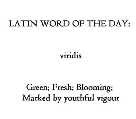 Latin Words And Meanings, Latin Language Learning, Learning Latin, Learn Latin, Latin Quotes, Latin Language, Unique Words Definitions, Latin Phrases, Latin Word