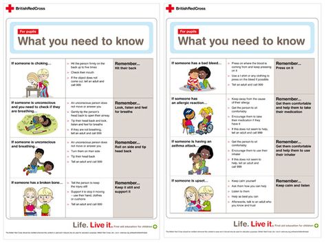 Red Cross First Aid Information Sheet First Aid For Children, First Aid Poster, First Aid Information, First Aid Kit Checklist, First Aid For Kids, Abc Nursery, Halloween Word Search, First Aid Tips, Basic First Aid