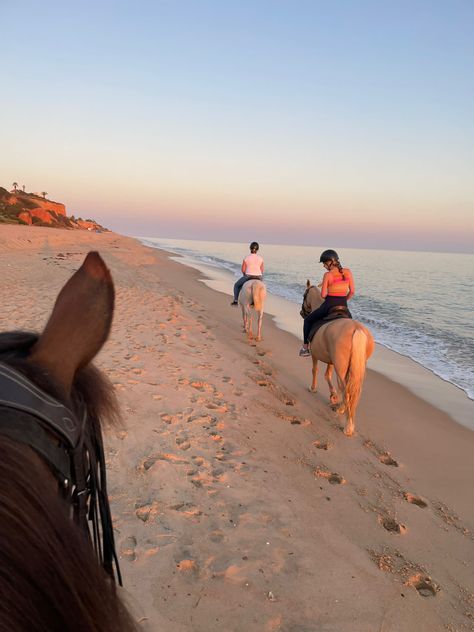 Aesthetic Horse Pictures, Riding Horse Aesthetic, Summer Horse Riding, Preppy Horse, Aesthetic Horse Riding, Horse Beach Riding, Horseback Riding Aesthetic, Grooming Horse, Horses Beach