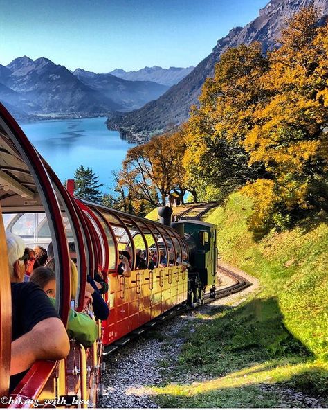 Brienz Rothorn Railway, Switzerland 🇨🇭 A stunning journey aboard the Brienz Rothorn Railway, a historic steam train that winds its way through the picturesque Swiss Alps. Passengers enjoy breathtaking views of the turquoise waters of Lake Brienz, framed by rugged mountains and vibrant autumn foliage. The open-air carriages allow travelers to fully immerse themselves in the scenic beauty of Switzerland's natural landscapes, making this one of the most memorable and scenic train rides in Europ... Europe Train, Scenic Train Rides, Scenic Beauty, Swiss Alps, Air Travel, Turquoise Water, Train Rides, Lake Como, Bel Air