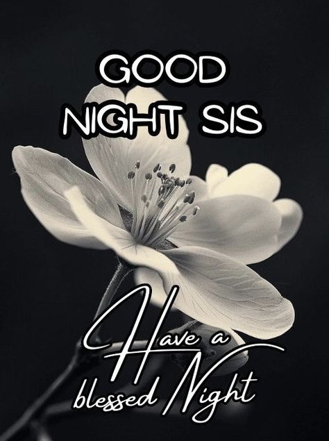 Good Night Sis, Good Night Sunday, Goodnight Blessings, Night Sister, Good Night Sister, Good Night Blessings Quotes, Sweet Dreams Images, Good Night Family, Happy Saturday Images