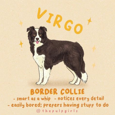 Aries And Taurus, Virgo Aesthetic, Dog Zodiac, Finish The Sentence, Wholesome Dog, All About Virgo, Cat Merch, Astrology Aesthetic, Virgo Personality