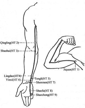 Acupuncture.Com - Heart Meridian Index Heart Meridian, Turtles Tattoo, Meridian Acupuncture, Acupuncture Points Chart, Polarity Therapy, Meridian Points, Body Mechanics, Acupuncture Points, Star Constellations