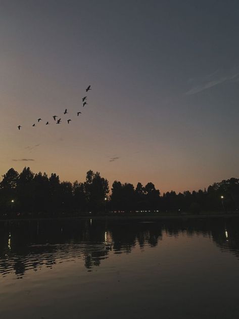 Dawn Aesthetic Sky, Summer Dusk Aesthetic, Dusk Aesthetic Wallpaper, Aesthetic Birds Flying, Dusk Sky Aesthetic, Birds Flying Aesthetic, Dusk Court, Dusk Aesthetic, Pond Aesthetic