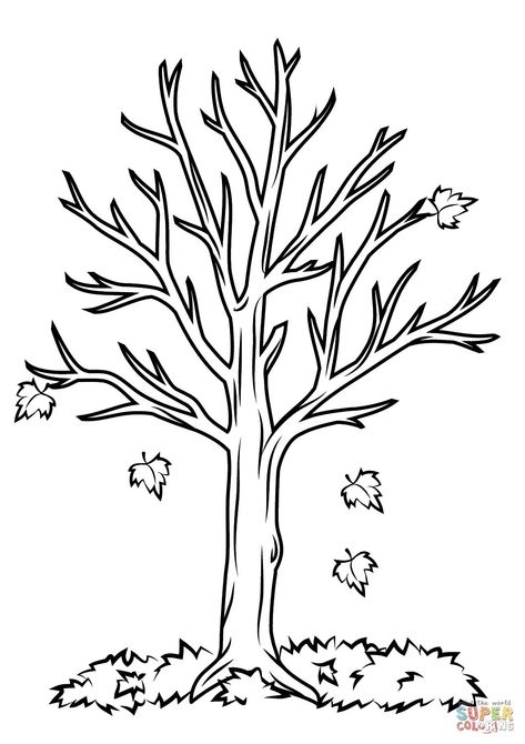 Fall Coloring Pages For Kids Fall Tree Coloring Page Free Printable Coloring Pages Fall Tree Coloring Page, Fall Tree Template Printable Free, Fall Leaves Coloring Pages, Fall Coloring Sheets, Fall Tree Painting, Tree Coloring, Leaf Coloring Page, Picture Tree, Tree Templates