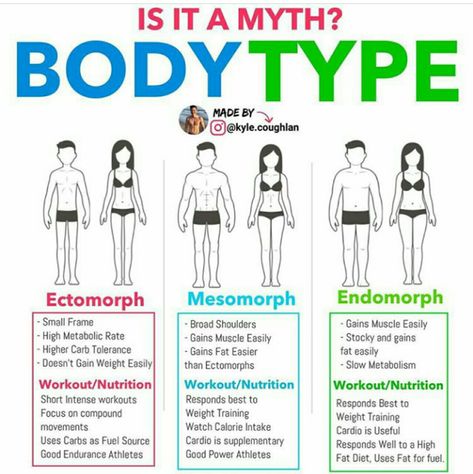 Comment Your Body Type Below 👇. Flat Belly Breakfast, Endomorph Workout, Mesomorph Body, Metabolic Confusion, Body Type Workout, Metabolic Type, Endomorph Body Type, Metabolic Workouts, Carb Cycle