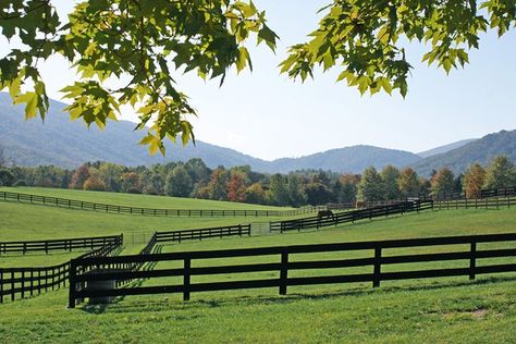 Black Fences, Country Backroads, Perfect Yard, Horse Pasture, Horse Paddock, Dream Stables, Sugar Hill, Future Farms, Big Horses