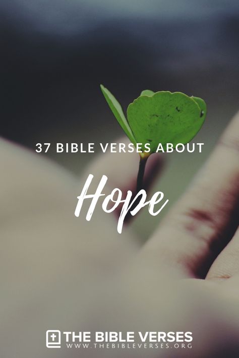 Verses About Hope Scriptures, Hope Scripture Quotes, Scripture About Hope, Hope Bible Quotes, Bible Verse For Hope, Bible Verse About Hope, Bible Verses For Hope, Verses Of Hope, Scripture Quotes Faith