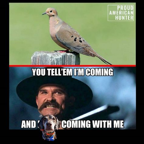 Benjamin Russo on Instagram: “Countdown to my favorite hunt of the year! 20 days until dove season and the memes never get old! . . . #dove #dovehunting #openingday…” Dove Season, Dove Hunting, Bird Hunting, The Memes, Opening Day, Getting Old, Hunting, The Year, Memes