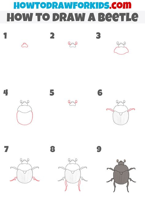 how to draw a beetle step by step How To Draw Insects Step By Step, Draw Bugs, How To Draw Insects, Cute Beetle, Drawing On Hand, Beetle Drawing, Snake Drawing, Sketching Tips, Draw Animals