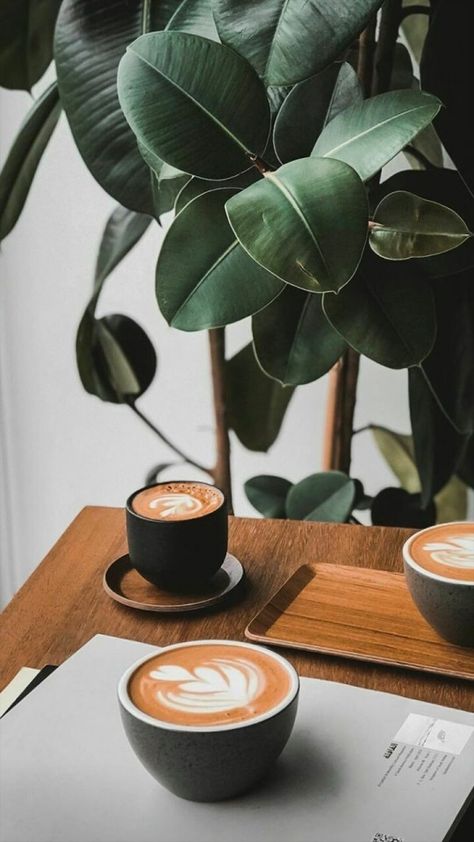 More Coffee! on Tumblr Environmental Photography, Matcha Cafe, Coffee Shop Photography, Coffee Shot, Outdoor Exploration, Photography Wildlife, Dessert Photography, Coffee Shop Aesthetic, Photography Outdoor