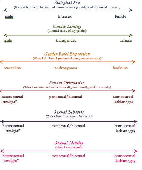 great chart! Gender Spectrum, Lgbt Equality, Human Sexuality, Gender Identity, Therapy Activities, Psychology, Education