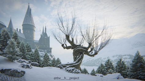 Whomping Willow, Harry Potter Voldemort, Hogwarts Christmas, Harry Potter Background, Harry Potter Illustrations, Xmas Wallpaper, Hogwarts Castle, Hogwarts Aesthetic, Harry James Potter