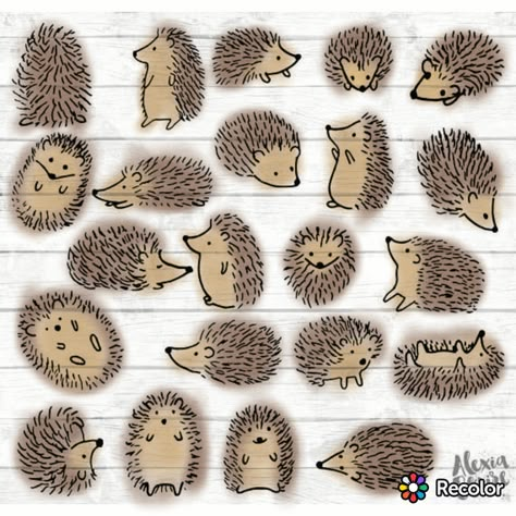 How To Draw Hedgehog, Wildlife Doodles, Hedgehog Drawing Simple, Hedgehogs Drawing, Cute Hedgehog Drawing, Hedge Hogs, Watercolor Hedgehog, Music Notes Drawing, Cartoon Hedgehog