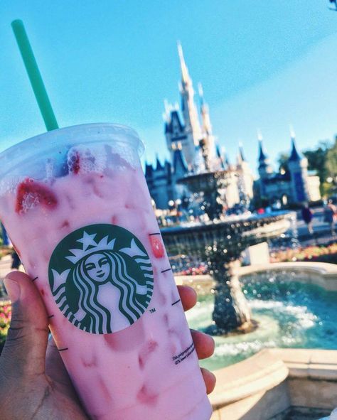 Starbucks Strawberry Refresher, Disney World Food Bucket List, Vsco Posts, Strawberry Refresher, Vsco Pics, Starbucks Strawberry, Secret Starbucks Drinks, Starbucks Secret Menu Drinks, Starbucks Coffee Drinks