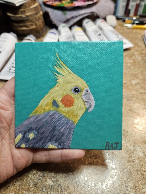 Cockatiel bird painted on 4x4 inch tiny canvas panel. #petbird #cockatiel #acrylicpainting #tinypaintings #birdpainting #cockatielart #birdart Cockatiel Painting Acrylic, Cockatiel Painting, Cockatiel Bird, Tiny Canvas, Parrot Painting, Disney Canvas, Inspiration Painting, Cute Canvas Paintings, Cartoon Painting