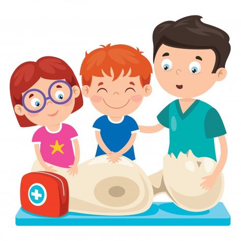 Cartoon character training first aid Pre... | Premium Vector #Freepik #vector #character #cartoon #teacher #kids Premium Vector Cartoon, Character Cartoon, Vector Character, Vector Cartoon, First Aid, Cartoon Character, Premium Vector, Cartoon Characters, Graphic Resources