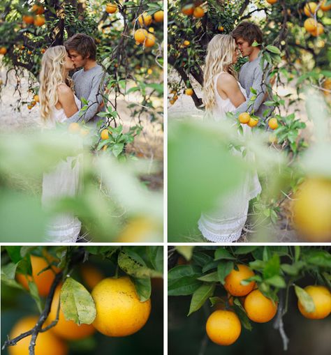 Orange Fairy, Digital Photography Backdrops, Photoshoot Engagement, Orange Grove, California Engagement, Engagement Inspiration, Shoes Wedding, Green Wedding Shoes, Ideal Wedding