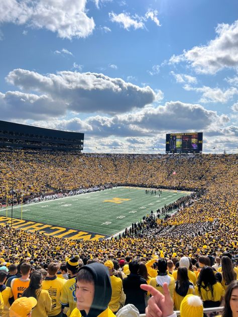 Michigan College Football, Uofm University Of Michigan, The University Of Michigan, Michigan Law School, Michigan Tech University, Michigan Football Aesthetic, University Of Michigan Ann Arbor, U Of Michigan, Michigan College Aesthetic