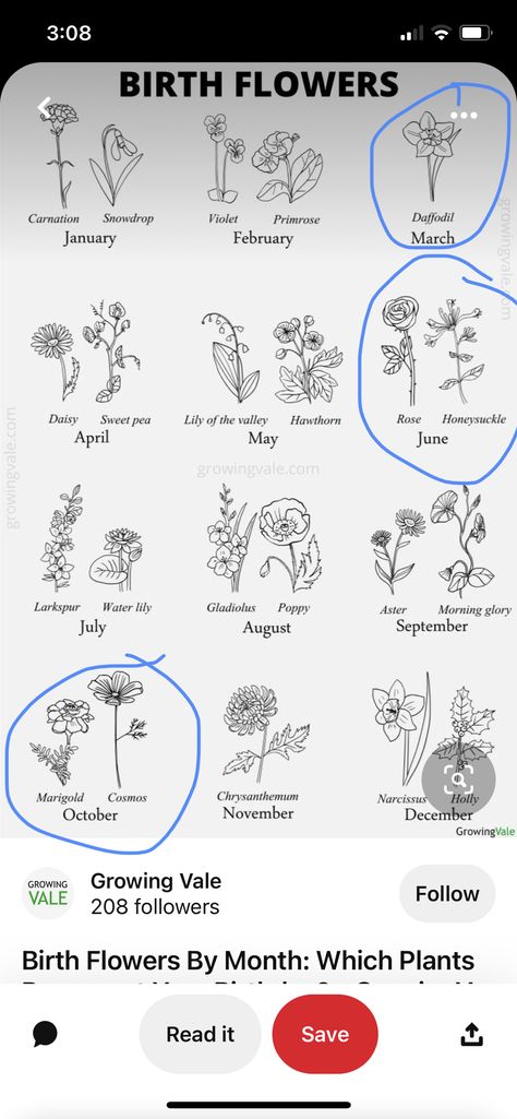 Carnation And Sweet Pea Tattoo, Sweet Pea And Daffodil Tattoo, Larkspur And Lily Of The Valley Tattoo, Lily Of The Valley Tattoo Design, Narcissus And Holly Tattoo, Narcissus Flower Tattoos, Pea Tattoo, Sweet Pea Tattoo, Lily Of The Valley Tattoo