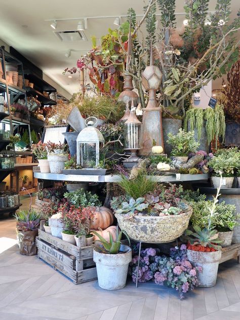 MY VISIT TO ANTHROPOLOGIE & CO. + FURNITURE REVIEW Spotted Orchid, Flower Shop Display, Gift Shop Displays, Garden Center Displays, Walnut Creek California, Vintage Booth Display, Flower Shop Decor, Bee Shop, Lake Garden