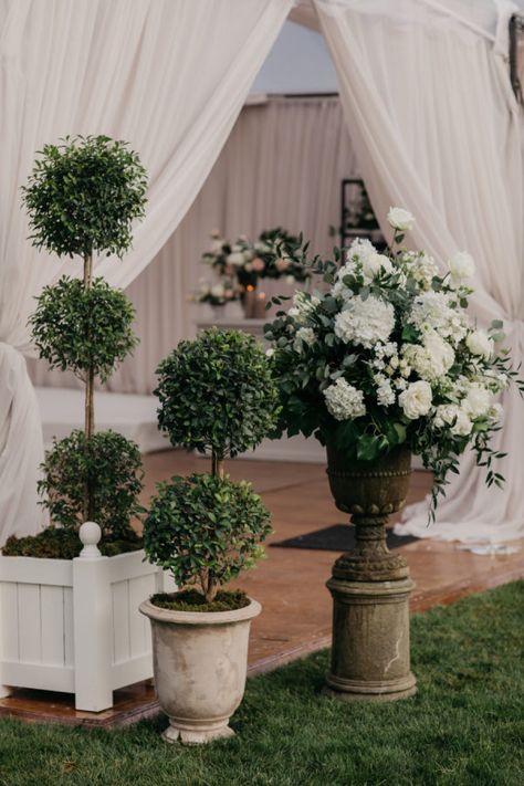 Tent Draping, French Garden Wedding, Greenery Wedding Theme, Country Club Style, French Country Wedding, Happy Hollow, Ballgown Wedding Dress, Country Garden Weddings, Ballgown Wedding