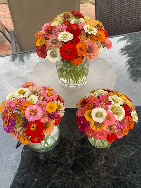 Zinnia Symbolism, Zinnias Wedding Bouquets, Zinnias Bouquet, Zinnia Wedding Bouquet, Common Zinnia, Zinnia Bouquet, Cut Flower Farm, Zinnia Elegans, Zinnia Flowers