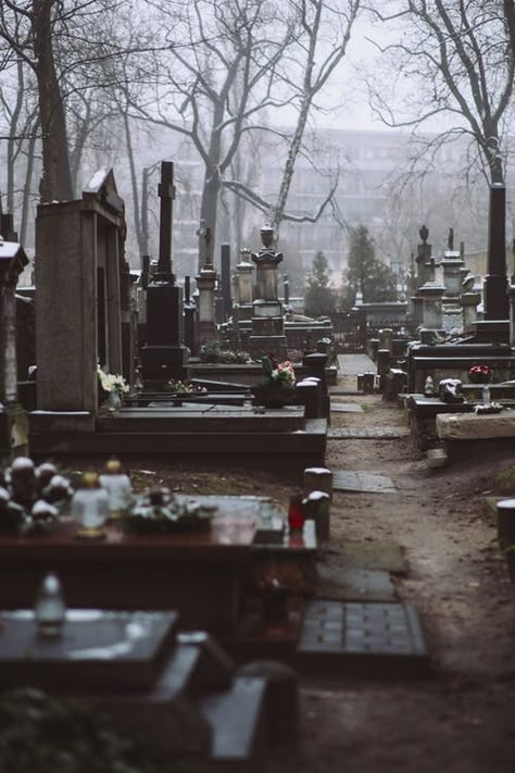 Cars Parked on Street Near Building · Free Stock Photo Cementary Photo Aesthetic, Cementary Photo, Foggy Cemetery, Cemetery Aesthetic, Cemetery Photography, Beautiful Cemeteries, Old Cemetery, Cemeteries Photography, Goth Gifts