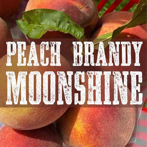 The peaches smelled amazing during the mash process, and we can't wait to get the peach wine distilled into some delicious peach moonshine. Peach Moonshine Recipe, Moonshine Recipes Homemade, Moonshine Mash Recipe, Flavored Moonshine Recipes, Fruit Wine Recipes, Moonshine Drink Recipes, Peach Moonshine, Brandy Recipe, Homemade Moonshine