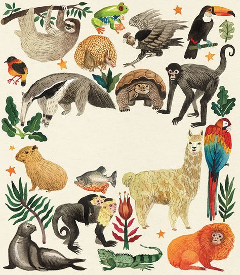 Tropical Animals Art, Travel Book Cover Design, Animal Book Cover, Travel Book Cover, Wild Life Animals, Jungle Travel, Fauna Illustration, Illustration Animals, Art Stories