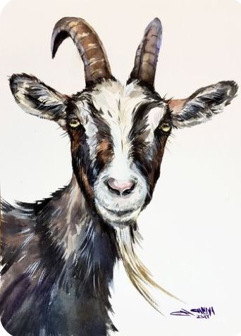 Goat Portrait, Goat Paintings, Farm Animal Paintings, White Goat, Painting Impressionism, Goat Art, Farm Paintings, Afrikaanse Kunst, Farm Art