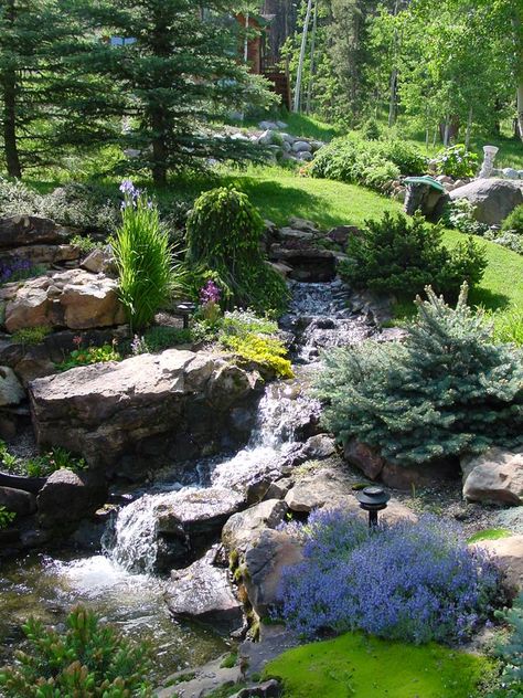 Photography Ideas Nature, Nature Photography Ideas, Wildflower Farm, Nature Photography Tips, Alpine Garden, Garden Water Feature, Pond Water Features, Hillside Landscaping, Pond Landscaping