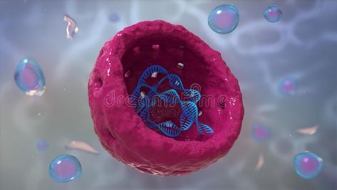 Cell nucleus Whith DNA. 3D illustration cell nucleus Whith DNA #Sponsored , #Ad, #Ad, #nucleus, #illustration, #cell, #Whith Nuclear Membrane, Cell Forms, Eukaryotic Cell, Basal Cell, Animal Cell, Body Cells, Plant Cell, Cell Wall, Life Form