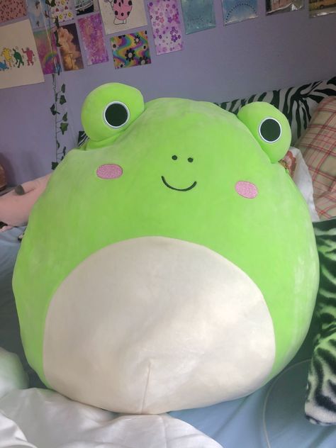 Wendy The Frog, Frog Squishmallow, Ac New Leaf, Cute Squishies, Kawaii Plushies, Hello Kitty Plush, Cute Pillows, Cute Stuffed Animals, Cute Frogs