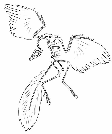 Archaeopteryx Tattoo, Geology Tattoo, Cartoon Tattoo Ideas, Spiral Tattoos, Animated Shows, Cartoon Tattoo, Dinosaur Tattoos, Small Tats, Bone Tattoos