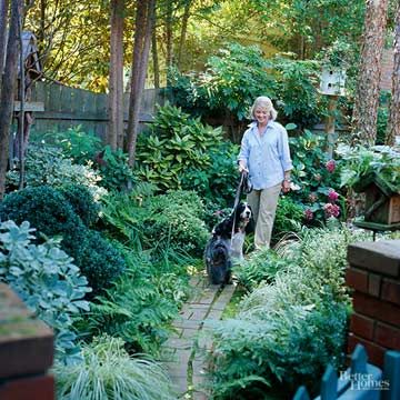 Texas Gardens, Shade Loving Shrubs, Texas Landscaping, Texas Plants, Leyland Cypress, Evergreen Hedge, Florida Plants, Texas Gardening, Best Plants