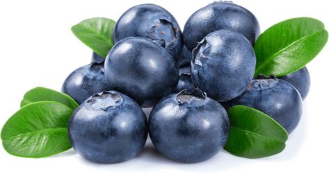 Blueberries Blueberry Water, Beet Juice, Fruit Seeds, Can Dogs Eat, Milkshakes, Dog Eating, Landscaping Plants, Sweet Taste, Pumpkin Seeds