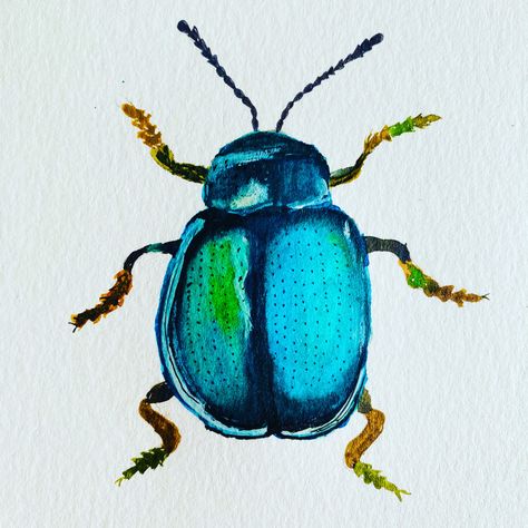 Watercolour Bugs Easy, Bug Watercolor, Watercolor Bugs Insects, Insect Watercolor, Watercolor Beetle, Beetle Watercolor, Watercolor Bugs, Insect Painting, Bug Painting