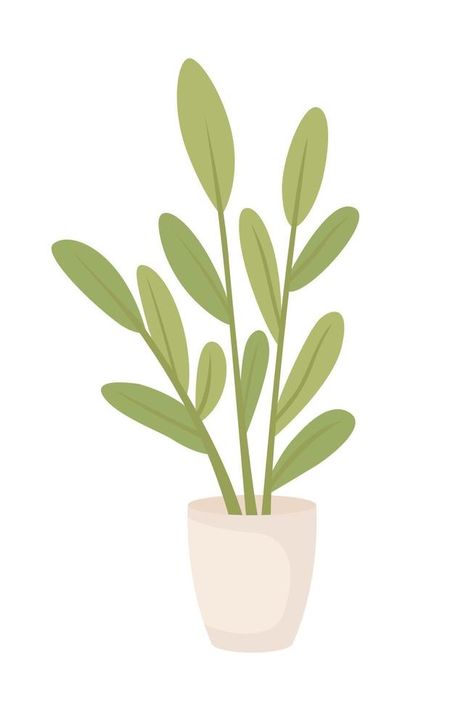 Potted plant with green leaves semi flat color vector object. Editable elements. Full sized items on white. Houseplant care simple cartoon style illustration for web graphic design and animation Plant Illustration Simple, Houseplant Care, Jade Plants, Web Graphic Design, Simple Cartoon, House Plant Care, Vector Cartoon, Simple Illustration, Plant Illustration